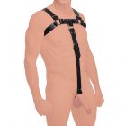 Strict Leather English Bull Dog Harness W/ Cock Strap