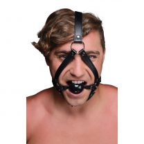 Head Harness With 1.65 Inches Ball Gag