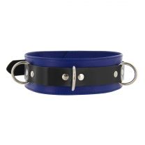 Deluxe Locking Blue and Black Collar
