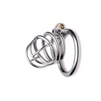 Master Series The Pen Deluxe Locking Chastity Cage, Chrome